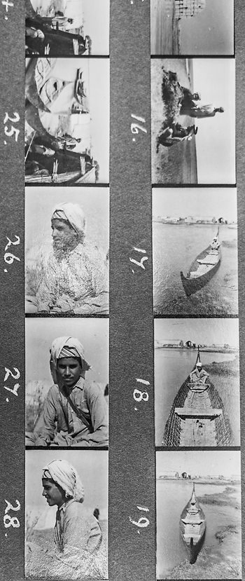 Two contact strips from 1953, made from Thesiger&rsquo;s uncut strips of negatives, show carefully composed portraits of Bin Thuqub as well as Thesiger&rsquo;s interest in his tarada. Over decades of travel in remote reaches, Thesiger made a total of more than 38,000 photos, not only in Iraq but also in his native Abyssinia (now Ethiopia) and in the Arabian Peninsula. People&mdash;usually men&mdash;were among his favorite subjects